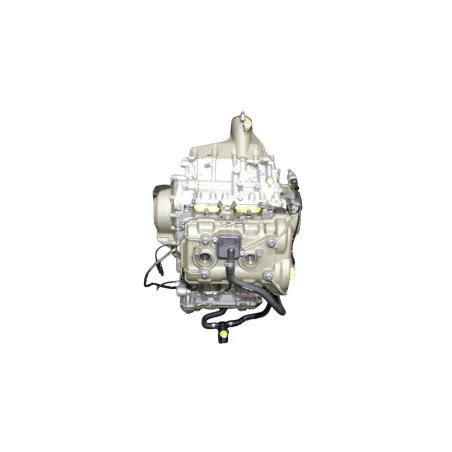 Moteur DUCATI PANIGALE V4 S ABS 2020 - 2021