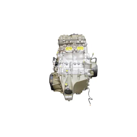 Moteur DUCATI PANIGALE V4 S ABS 2020 - 2021