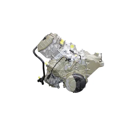 Moteur DUCATI PANIGALE V4 S ABS 2020 - 2021