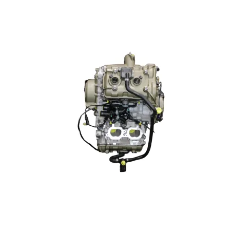 Moteur DUCATI PANIGALE V4 S ABS 2020 - 2021