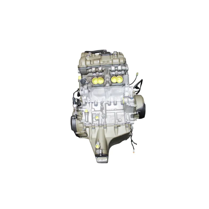 Moteur DUCATI PANIGALE V4 S ABS 2020 - 2021