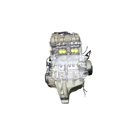 Moteur DUCATI PANIGALE V4 S ABS 2020 - 2021