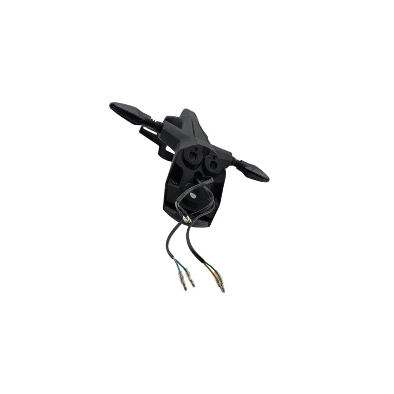 Support de plaque et eclairage CF MOTO SR 450 ABS 2023 - 2026