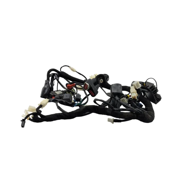Faisceau electrique BRIXTON BX 125 2020 - 2022