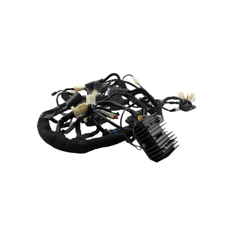Faisceau electrique BRIXTON BX 125 2020 - 2022