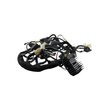 Faisceau electrique BRIXTON BX 125 2020 - 2022