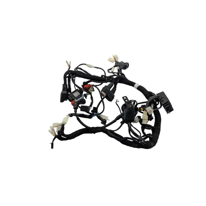 Faisceau electrique BRIXTON BX 125 2020 - 2022
