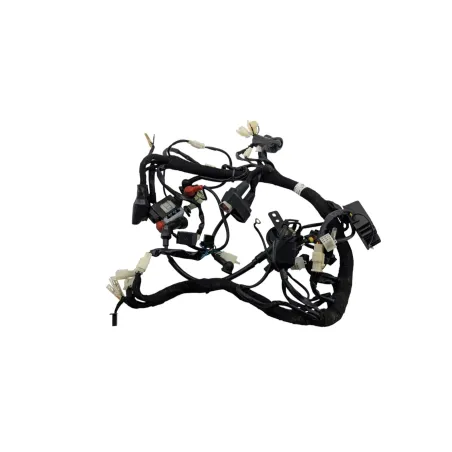 Faisceau electrique BRIXTON BX 125 2020 - 2022