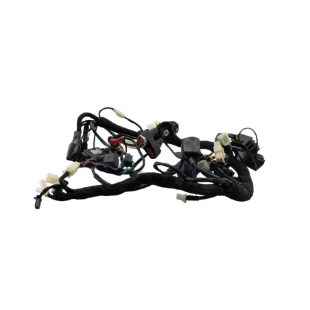 Faisceau electrique BRIXTON BX 125 2020 - 2022