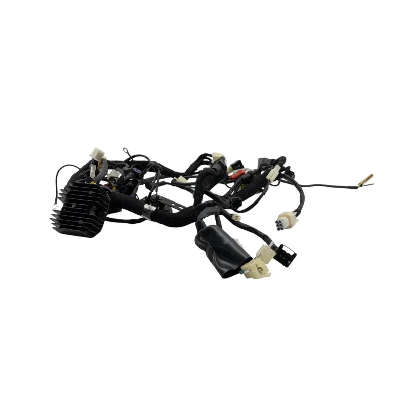 Faisceau electrique BRIXTON BX 125 2020 - 2022