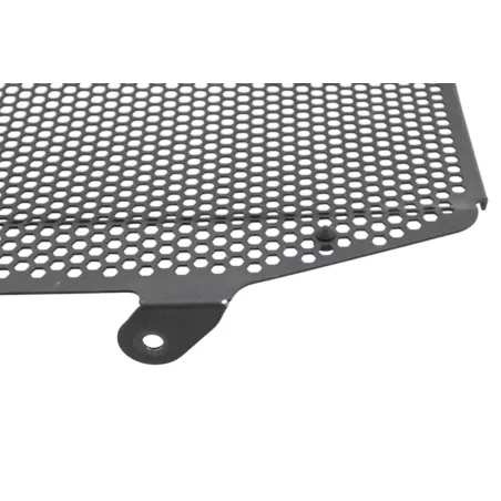 Grille de radiateur TRIUMPH STREET TRIPLE 765 R ABS 2020 - 2023