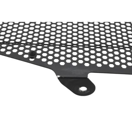 Grille de radiateur TRIUMPH STREET TRIPLE 765 R ABS 2020 - 2023