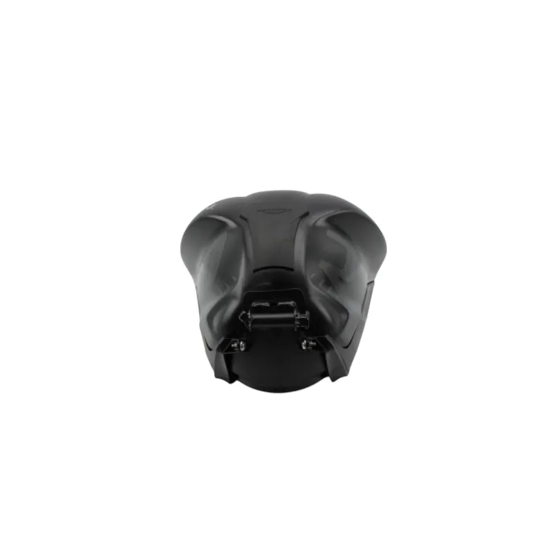 Reservoir TRIUMPH STREET TRIPLE 765 R ABS 2020 - 2023