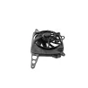 Ventilateur TRIUMPH STREET TRIPLE 765 R ABS 2020 - 2023