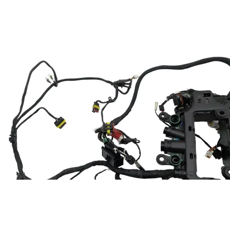 Faisceau electrique DUCATI PANIGALE V4 S ABS 2020 - 2021
