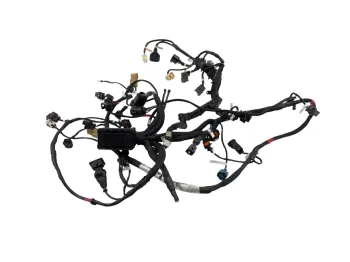 Faisceau rampe injection DUCATI PANIGALE V4 S ABS 2020 - 2021