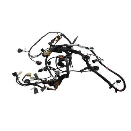Faisceau rampe injection DUCATI PANIGALE V4 S ABS 2020 - 2021