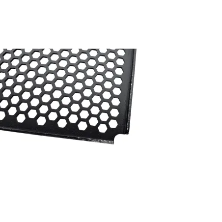 Grille de radiateur DUCATI PANIGALE V4 S ABS 2020 - 2021
