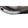 Collecteur arriere (echappement) YAMAHA VMAX 1200 1985 - 2002 Collecteur arriere (echappement) YAMAHA VMAX 1200 1985 - 2002