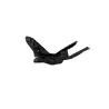 Support de plaque et eclairage YAMAHA XP 500 TMAX 2008 - 2011 Support de plaque et eclairage YAMAHA XP 500 TMAX 2008 - 2011