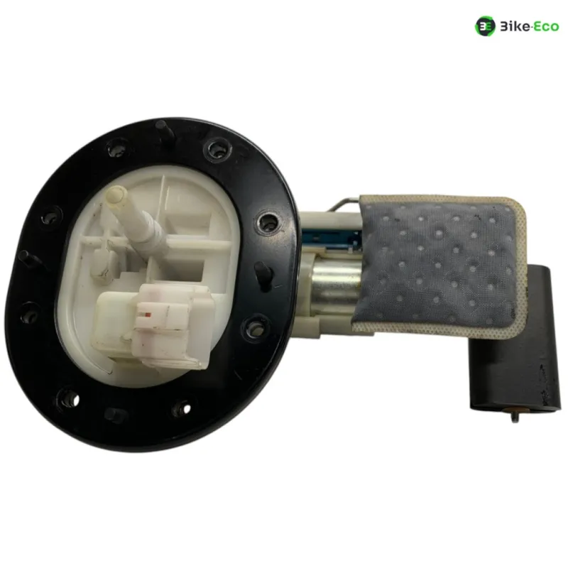Pompe a essence VOGE DS 300 2021-2024
