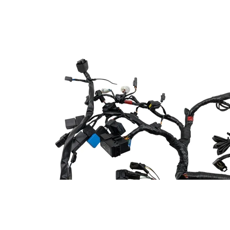 Faisceau electrique TRIUMPH STREET TRIPLE 675 R 2011 - 2012