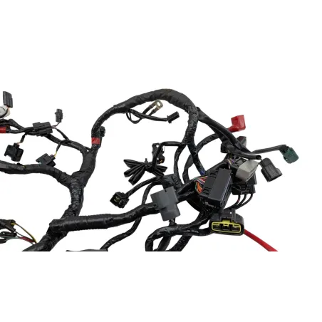 Faisceau electrique TRIUMPH STREET TRIPLE 675 R 2011 - 2012