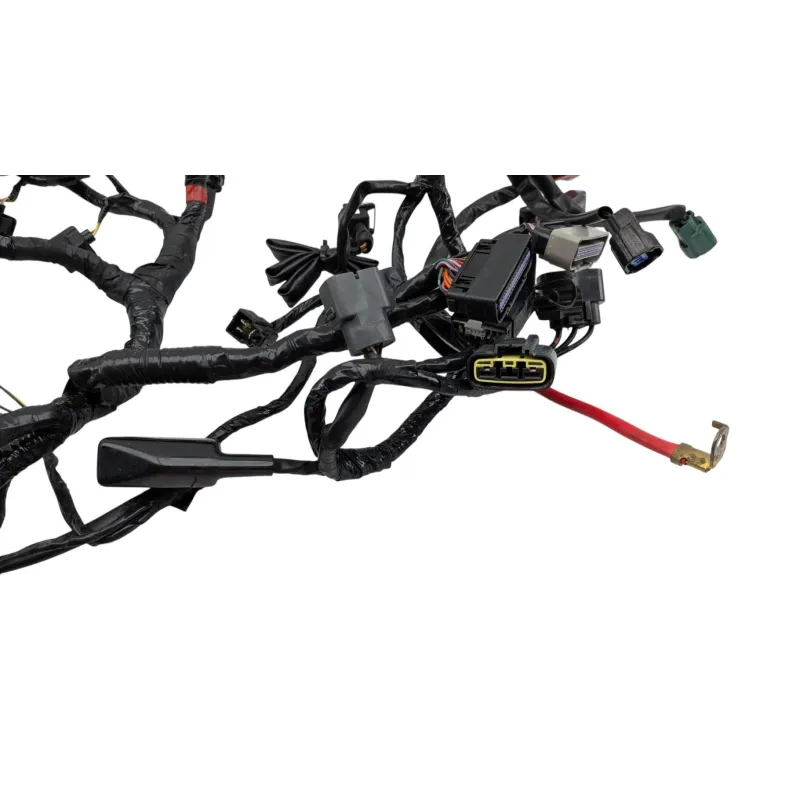 Faisceau electrique TRIUMPH STREET TRIPLE 675 R 2011 - 2012