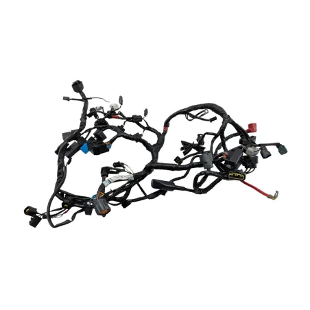 Faisceau electrique TRIUMPH STREET TRIPLE 675 R 2011 - 2012