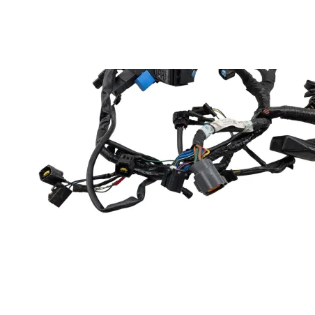 Faisceau electrique TRIUMPH STREET TRIPLE 675 R 2011 - 2012