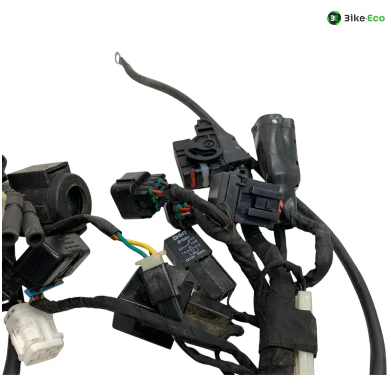 Faisceau electrique VOGE DS 300 2021-2024