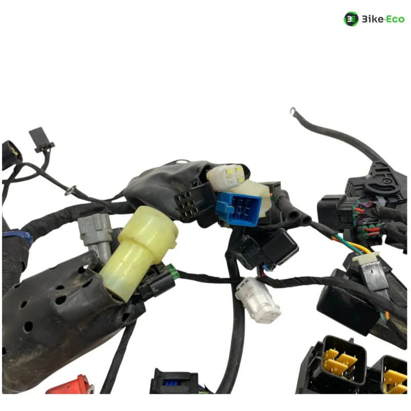 Faisceau electrique VOGE DS 300 2021-2024