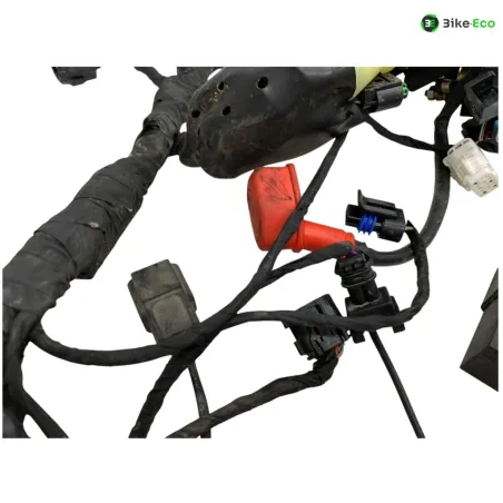 Faisceau electrique VOGE DS 300 2021-2024