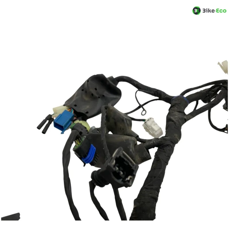 Faisceau electrique VOGE DS 300 2021-2024