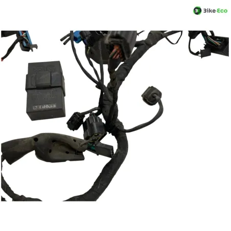 Faisceau electrique VOGE DS 300 2021-2024