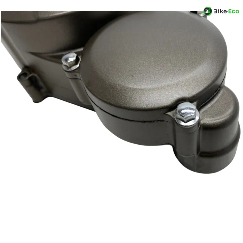 Carter alternateur VOGE DS 300 2021-2024