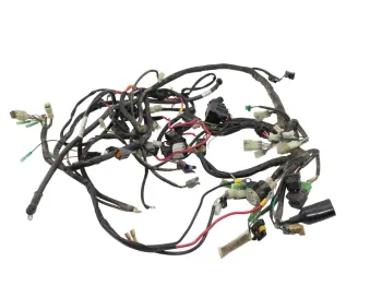Faisceau electrique MASAI A INFINITE 750 2016 - 2019
