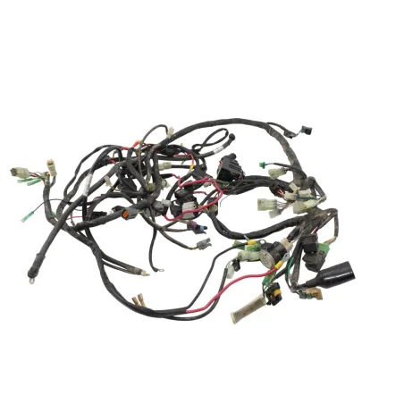 Faisceau electrique MASAI A INFINITE 750 2016 - 2019