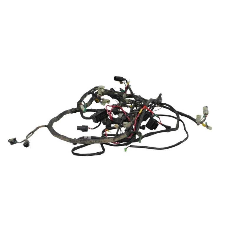 Faisceau electrique MASAI A INFINITE 750 2016 - 2019