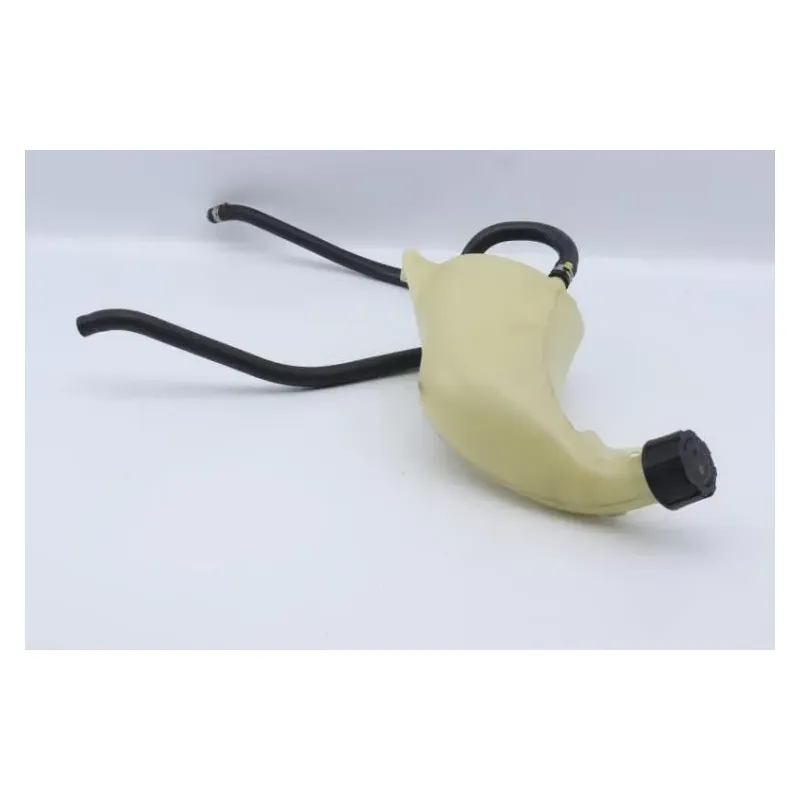 Vase expansion PIAGGIO MP3 125 2006 - 2008