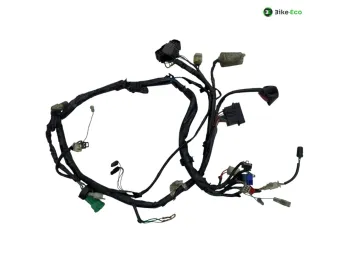 Faisceau electrique HONDA FMX 650 2005-2006