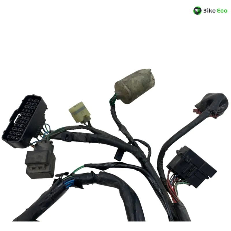 Faisceau electrique HONDA FMX 650 2005-2006