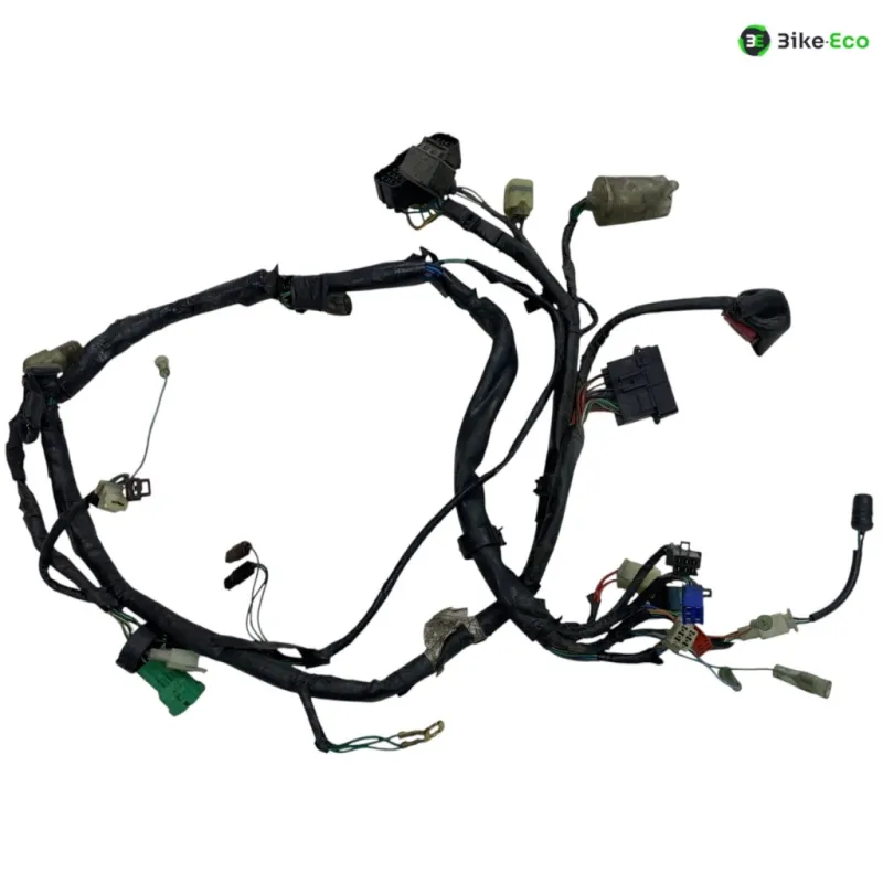 Faisceau electrique HONDA FMX 650 2005-2006