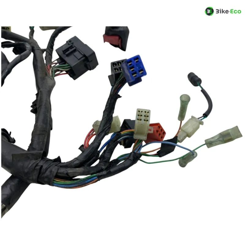Faisceau electrique HONDA FMX 650 2005-2006