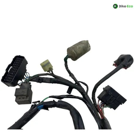 Faisceau electrique HONDA FMX 650 2005-2006