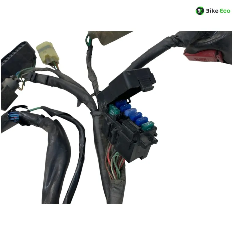 Faisceau electrique HONDA FMX 650 2005-2006