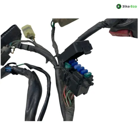 Faisceau electrique HONDA FMX 650 2005-2006
