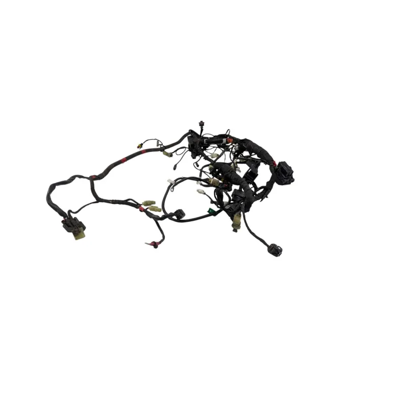 Faisceau electrique DUCATI MONSTER 1200 S ABS 2017 - 2020