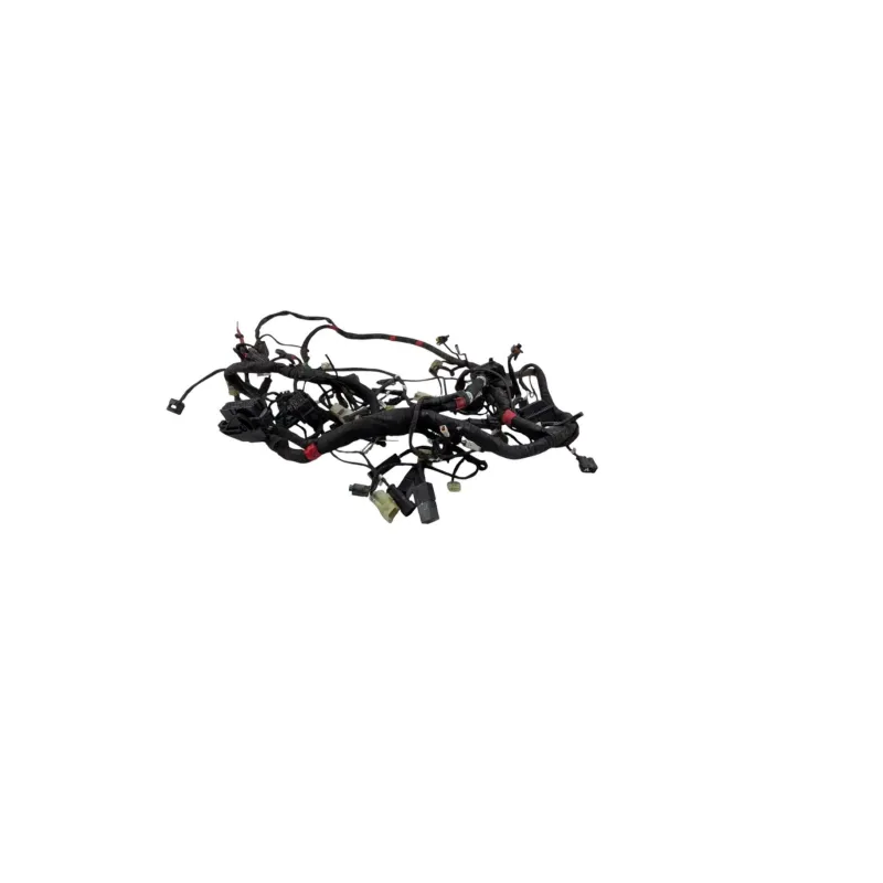 Faisceau electrique DUCATI MONSTER 1200 S ABS 2017 - 2020