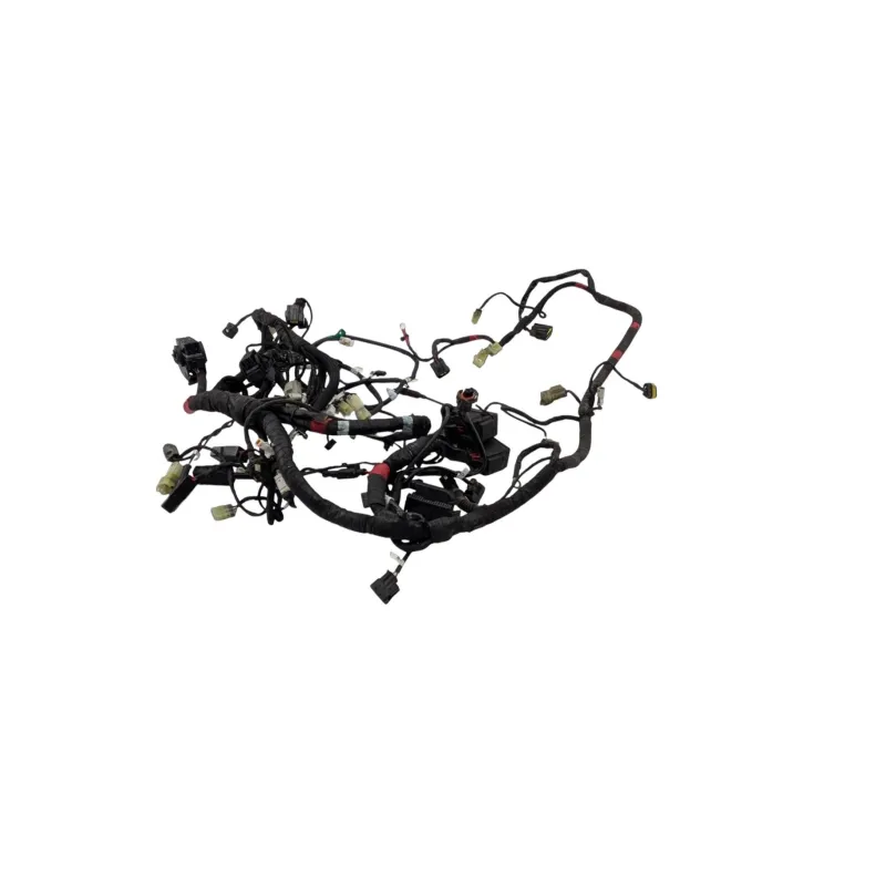 Faisceau electrique DUCATI MONSTER 1200 S ABS 2017 - 2020